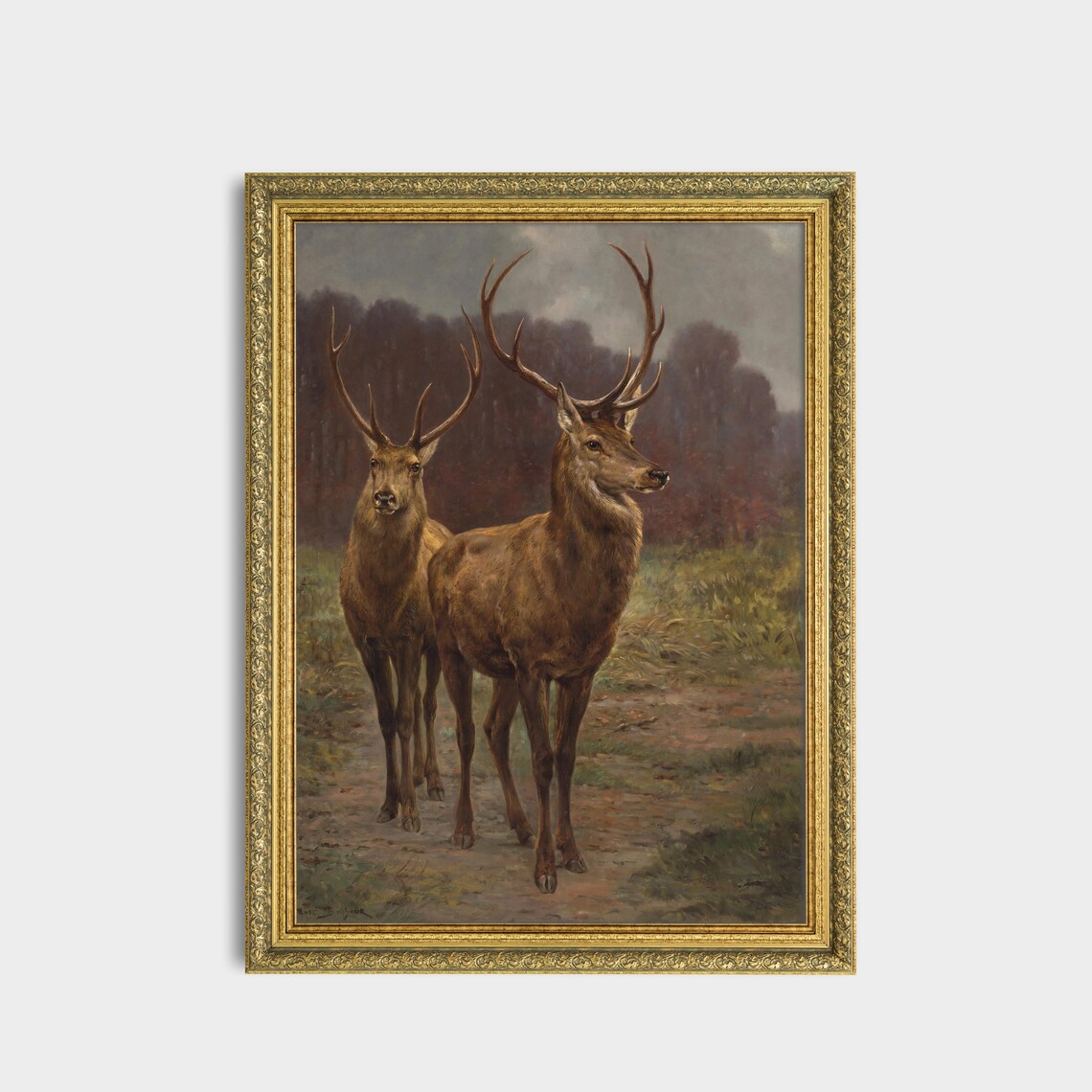 Vintage Red Deer Stags Painting Woodland Wildlife Antique Wall Art - Image 3