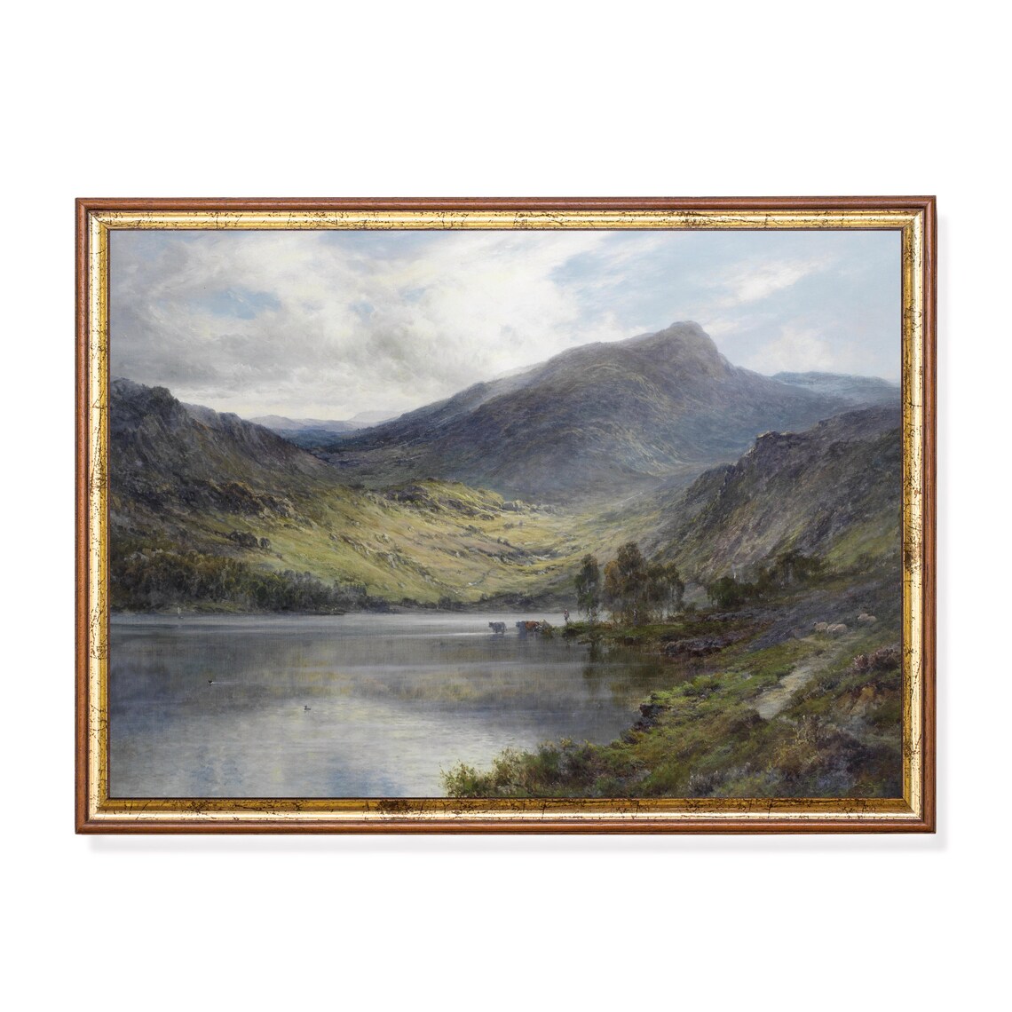 Calm Mountain Lake with Cattle Antique Highland Landscape Poster
