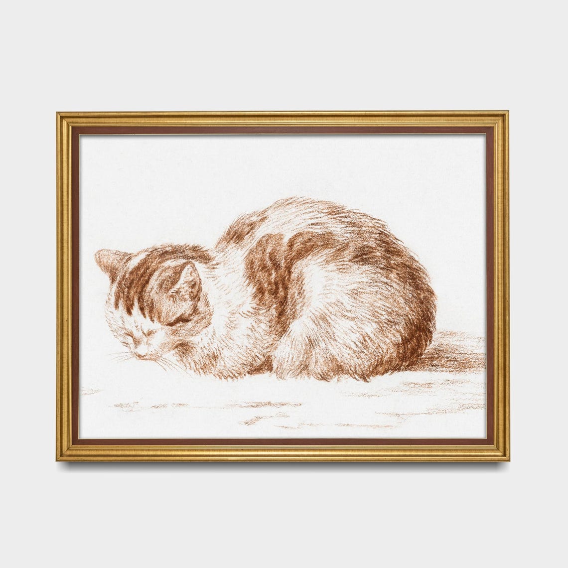 Curled Sleeping Cat in Sepia Red Chalk Vintage Sketch Poster - Image 5