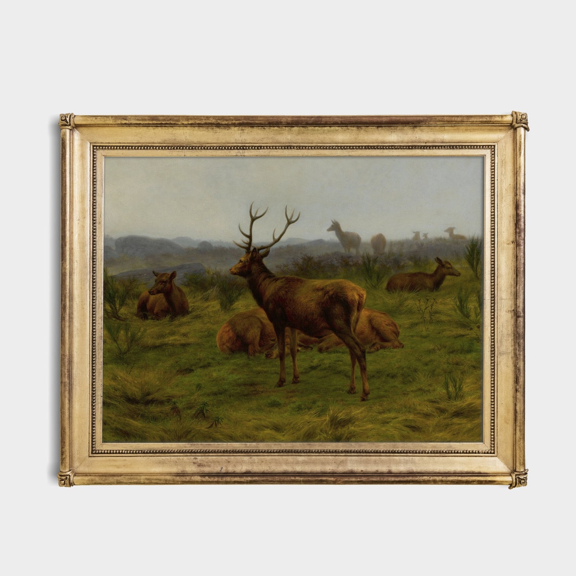 Red Deer Stag with Hinds in the Misty Highland Moorland Wall Art - Image 2