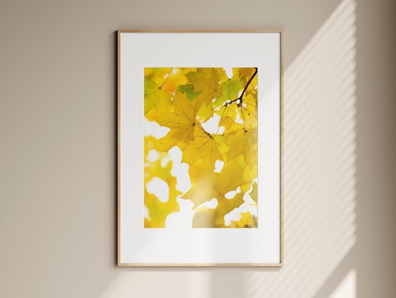Yellow Leaves Photo Minimalist Autumn Botanical Print