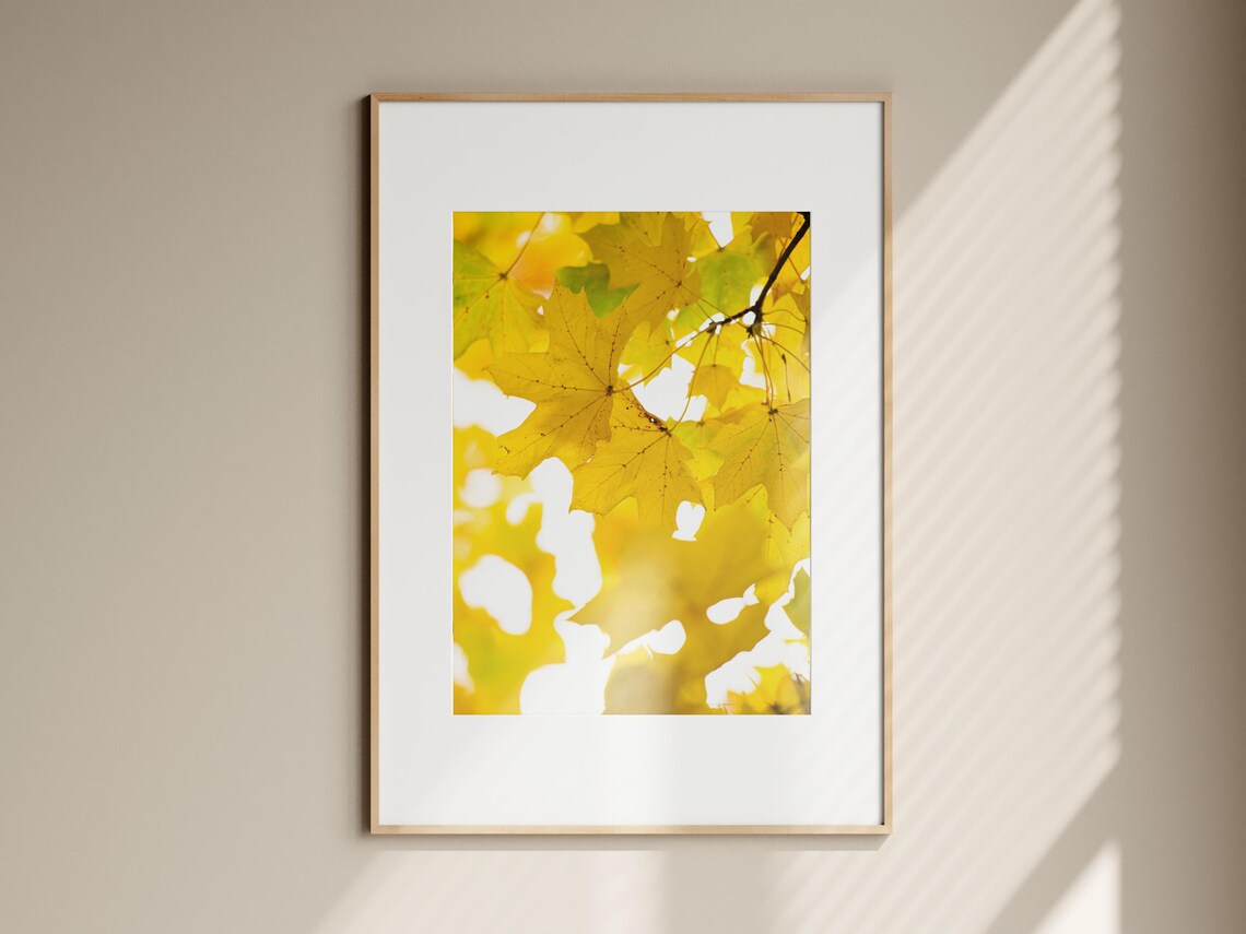 Yellow Leaves Photo Minimalist Autumn Botanical Print