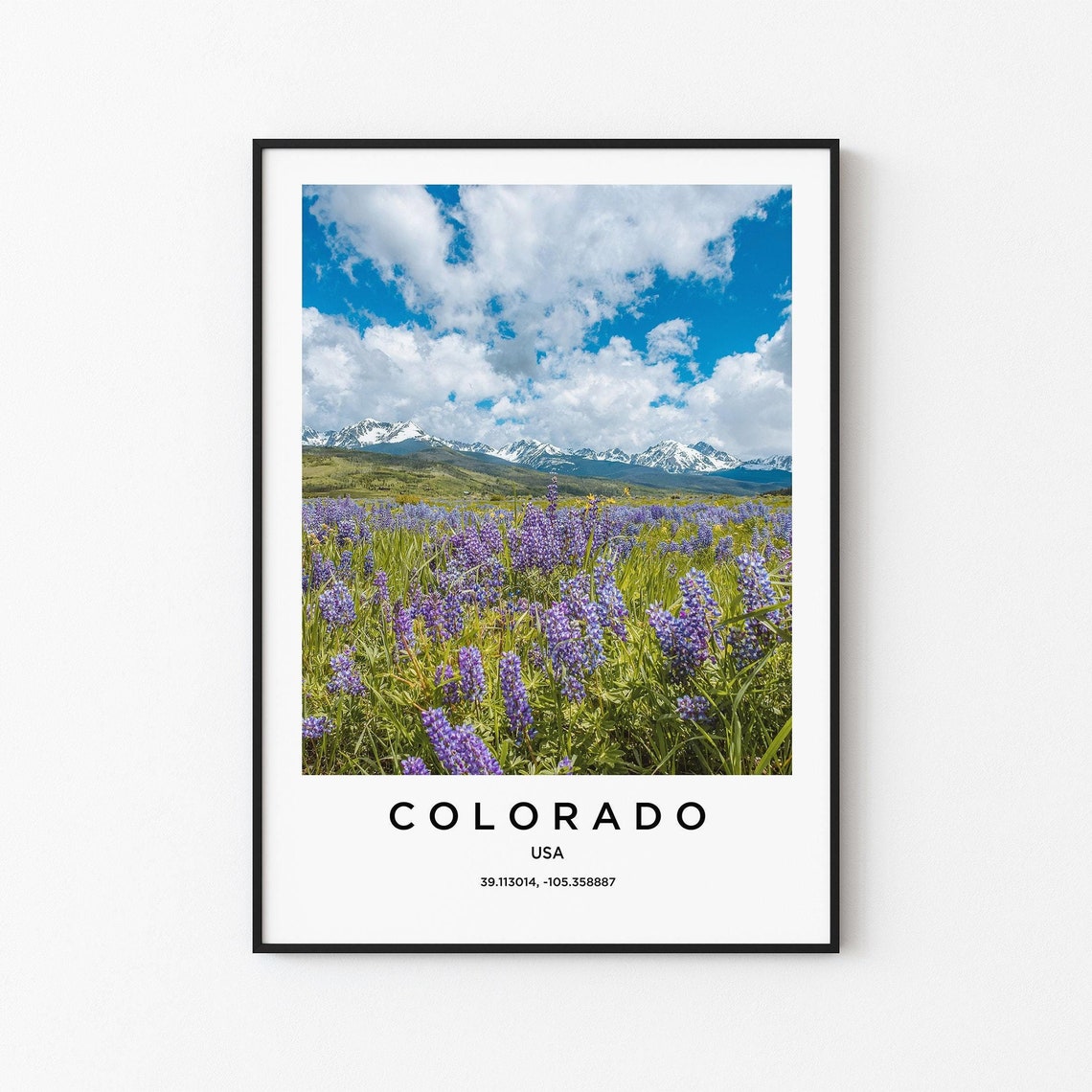 Colorado Wildflower Snowy Mountain Meadow Scenic Landscape Poster