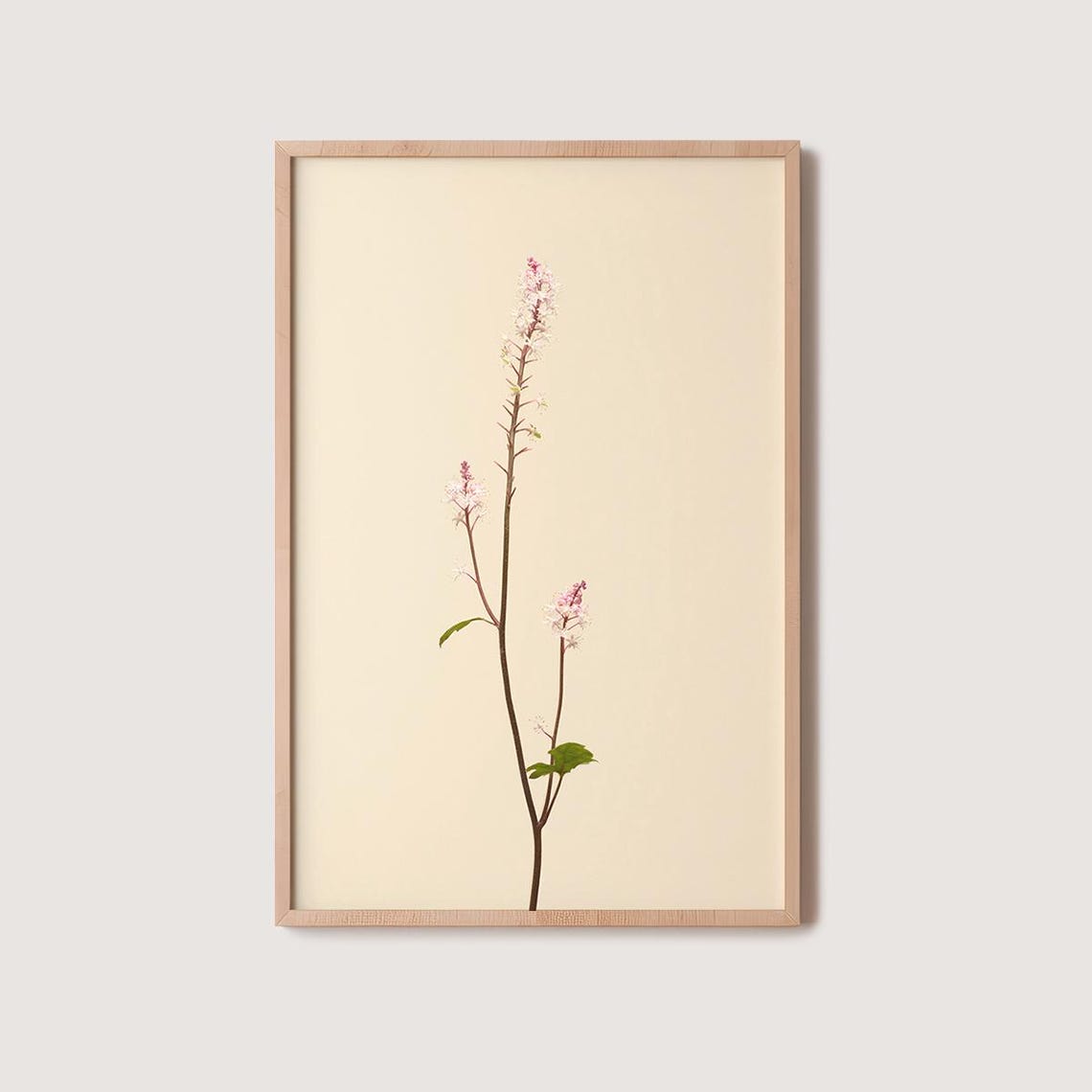 Slender Pink Wildflower Spray Blooming On Warm Beige Floral Poster