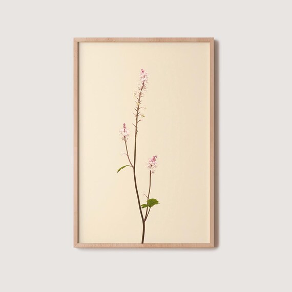 Slender Pink Wildflower Spray Blooming On Warm Beige Floral Poster