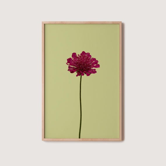 Floral Photo Print Modern Botanical Art Poster