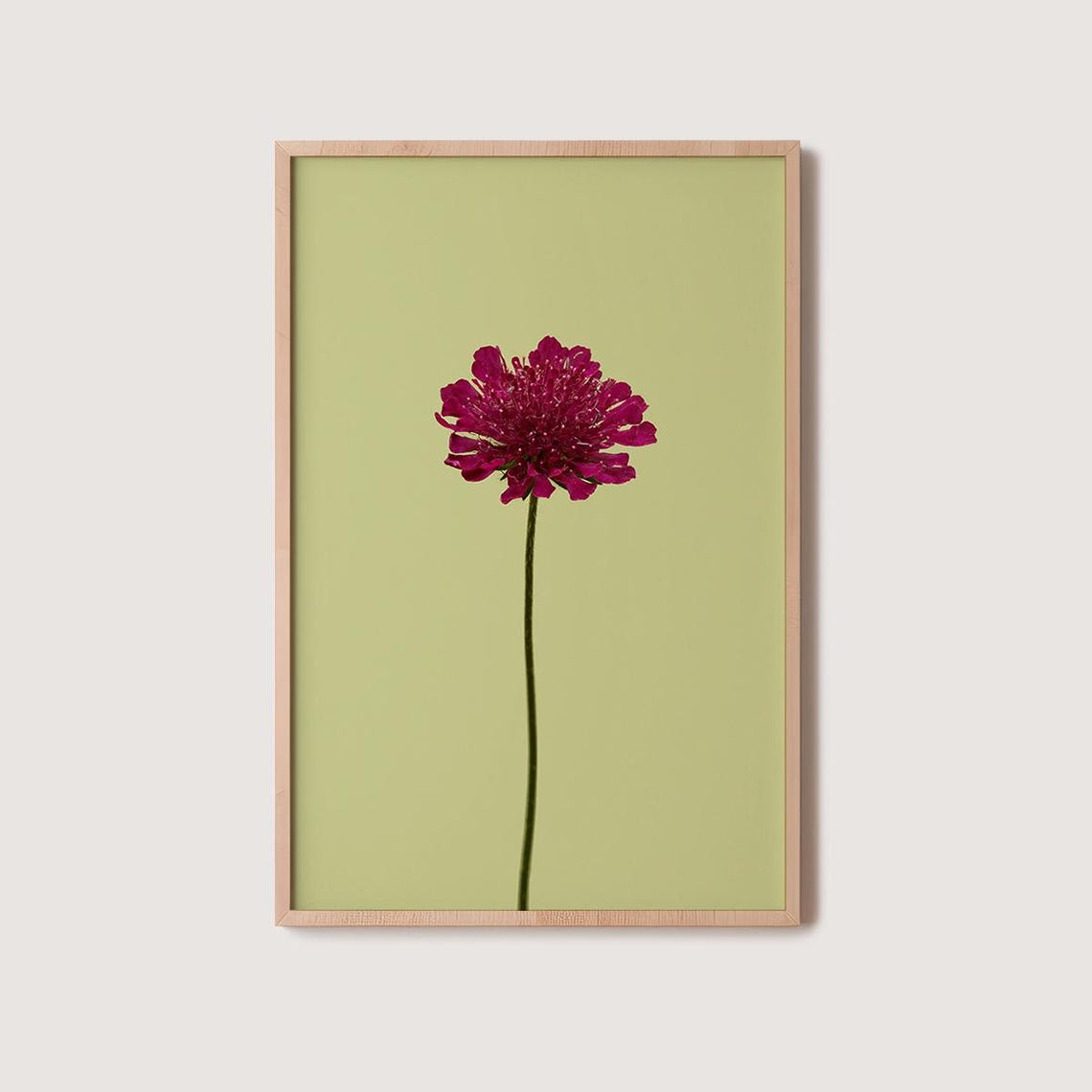 Floral Photo Print Modern Botanical Art Poster