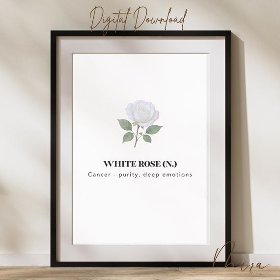 Cancer Zodiac White Rose Print Minimalist Astrology Wall Art