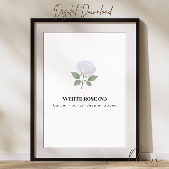 White Rose Birth Flower Cancer Zodiac Minimalist Astrology Poster