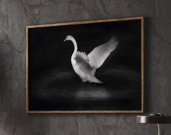 Swan Print Dark Academia Decor Wall Art Animal Living Room Poster