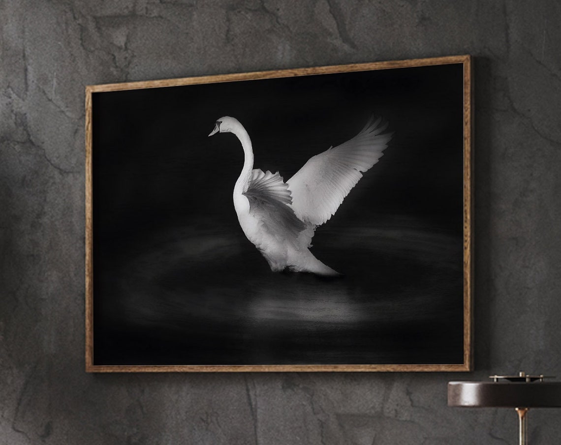 Swan Print Dark Academia Decor Wall Art Animal Living Room Poster