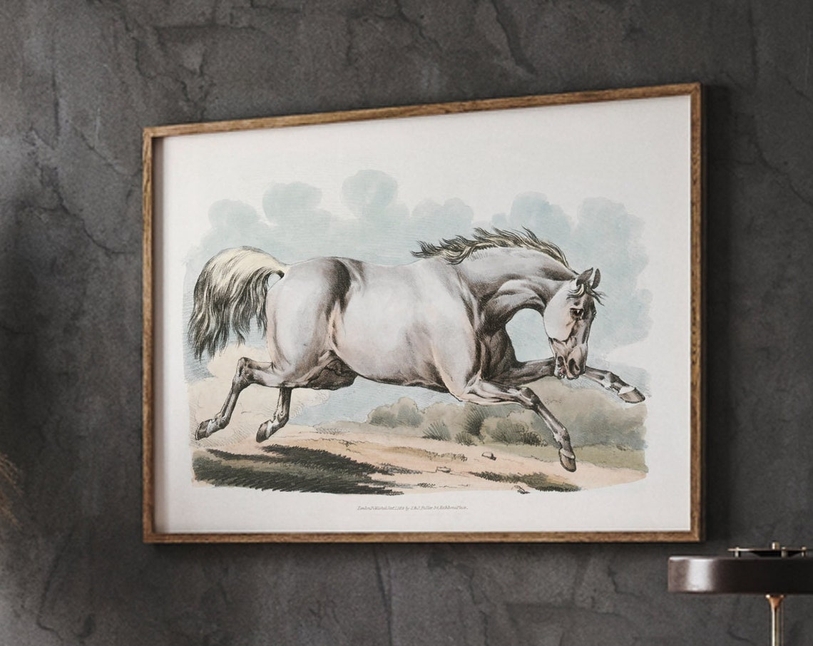 Galloping White Horse Vintage Sporting Sketch Equestrian Art Poster