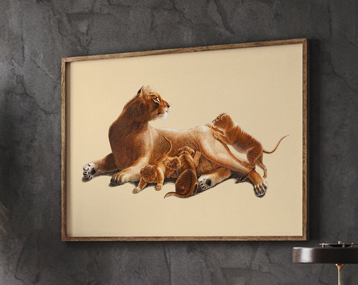 Lioness with Three Playful Cubs Vintage Wildlife Illustration Poster