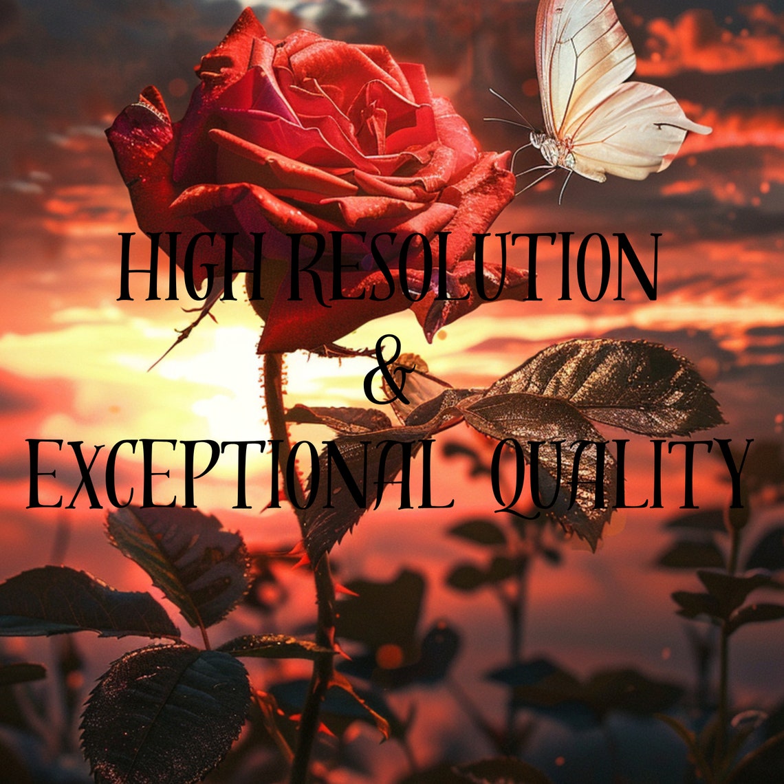 Red Rose And Butterfly Fiery Sunset Sky Romantic Floral Art Poster - Image 3