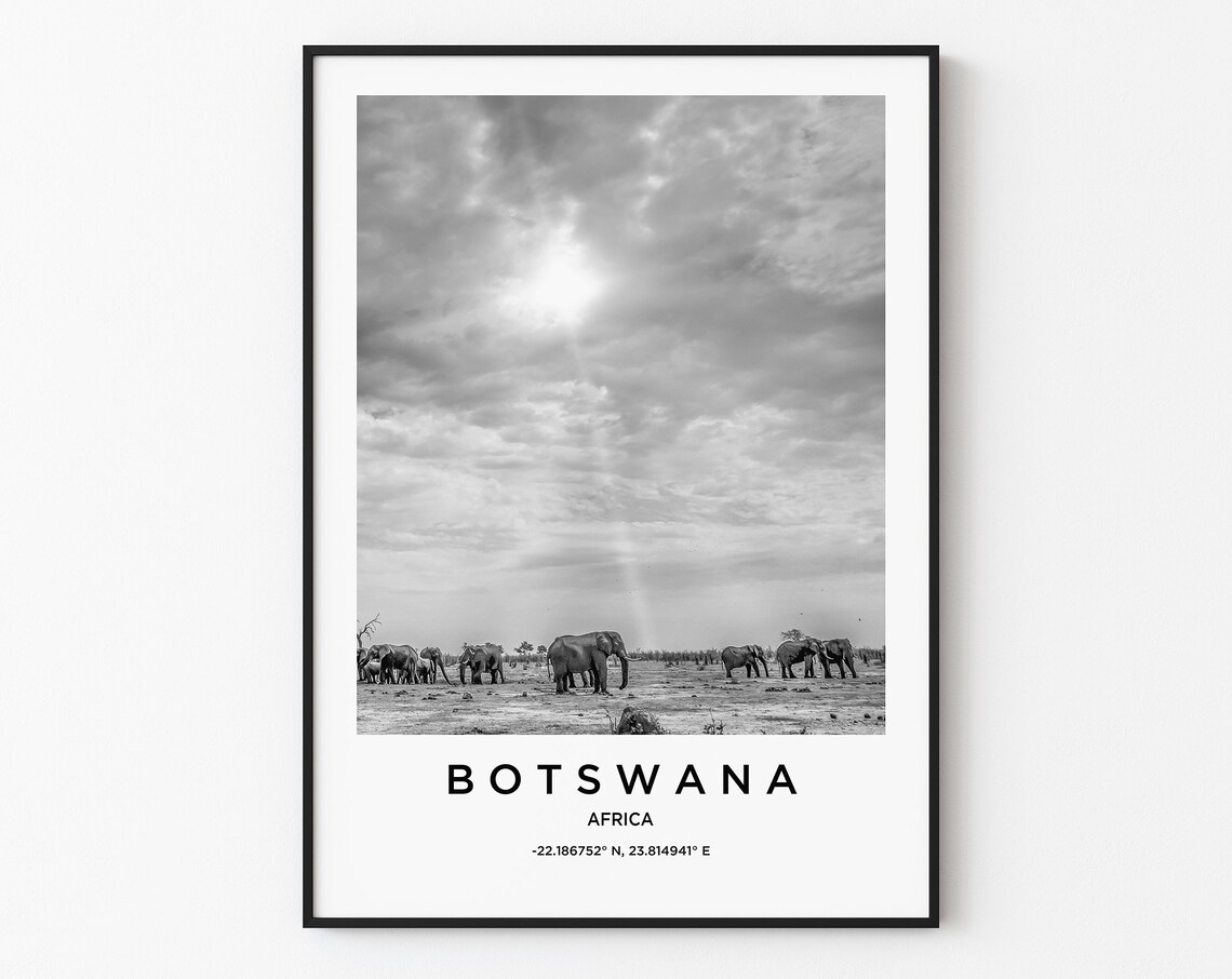 Botswana Africa Elephants Savannah Black and White Photo Poster
