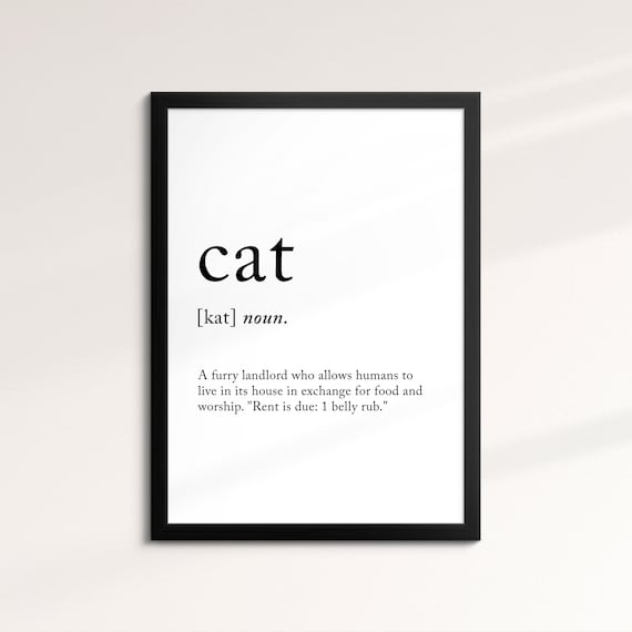Cat Funny Dictionary Definition Noun Minimalist Black White Art Poster