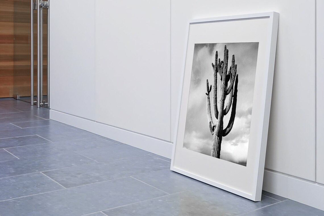Saguaro Cactus Black and White Desert Southwest Photo Poster - Image 2