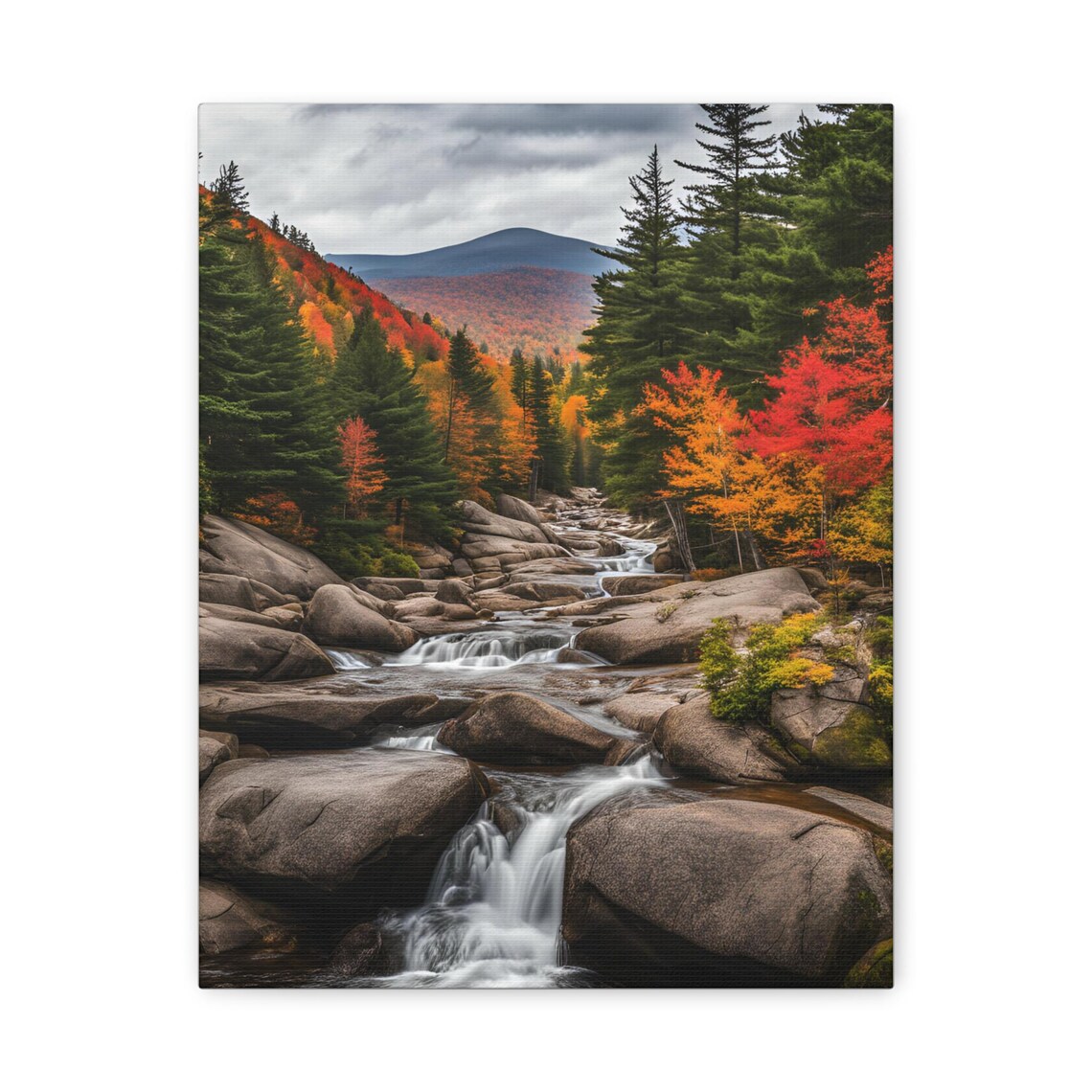 Autumn Forest Stream Canvas Print Gallery Wall Art