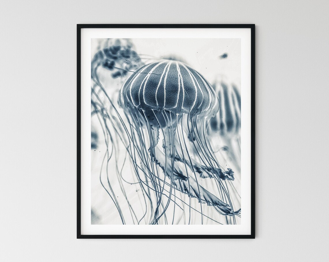 Jellyfish Print Beach Wall Decor Beach Print Ocean Print Tropical Aquatic Ocean Print