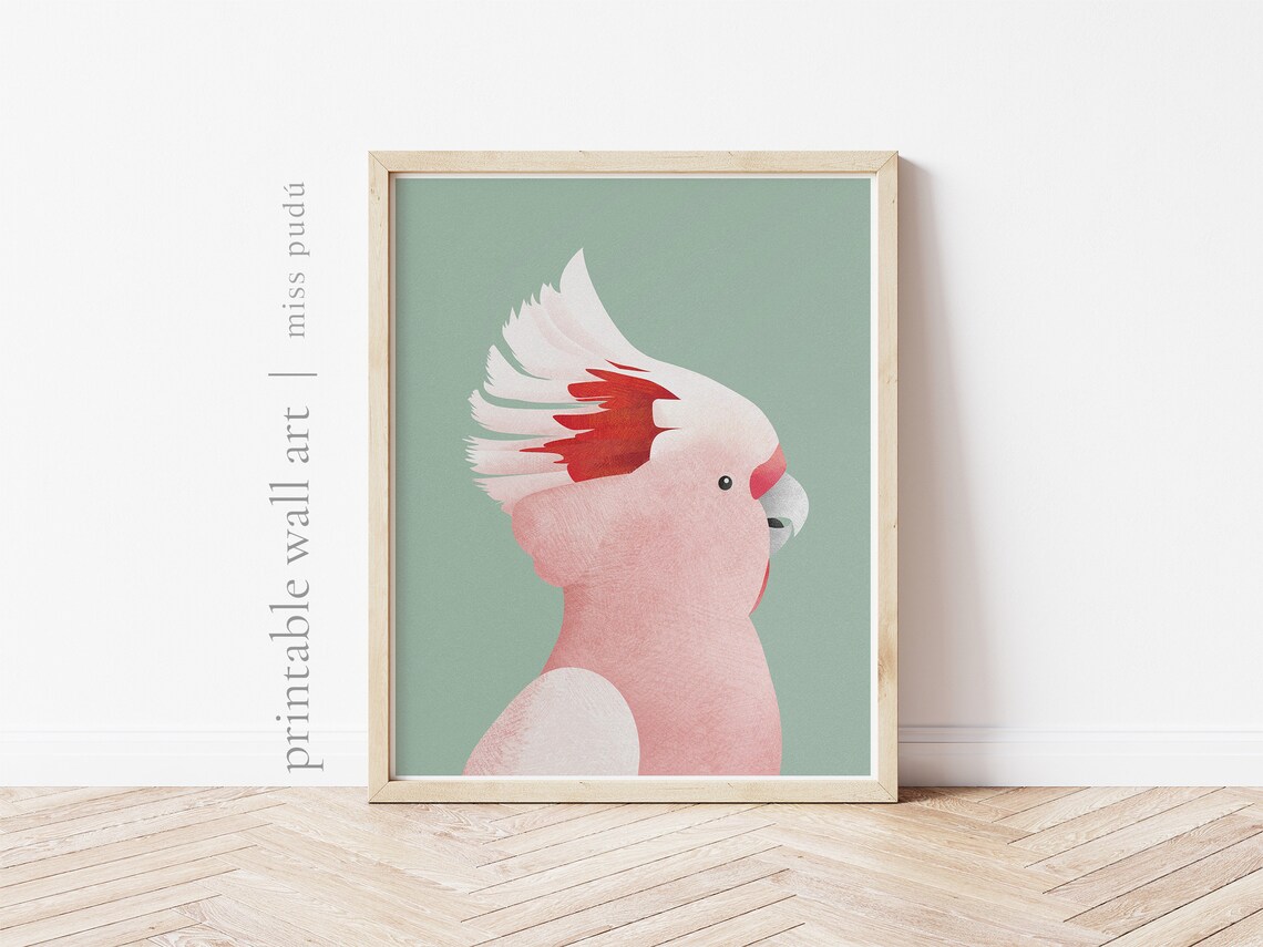Pink Cockatoo Profile Sage Green Australian Bird Kids Room Print - Image 3