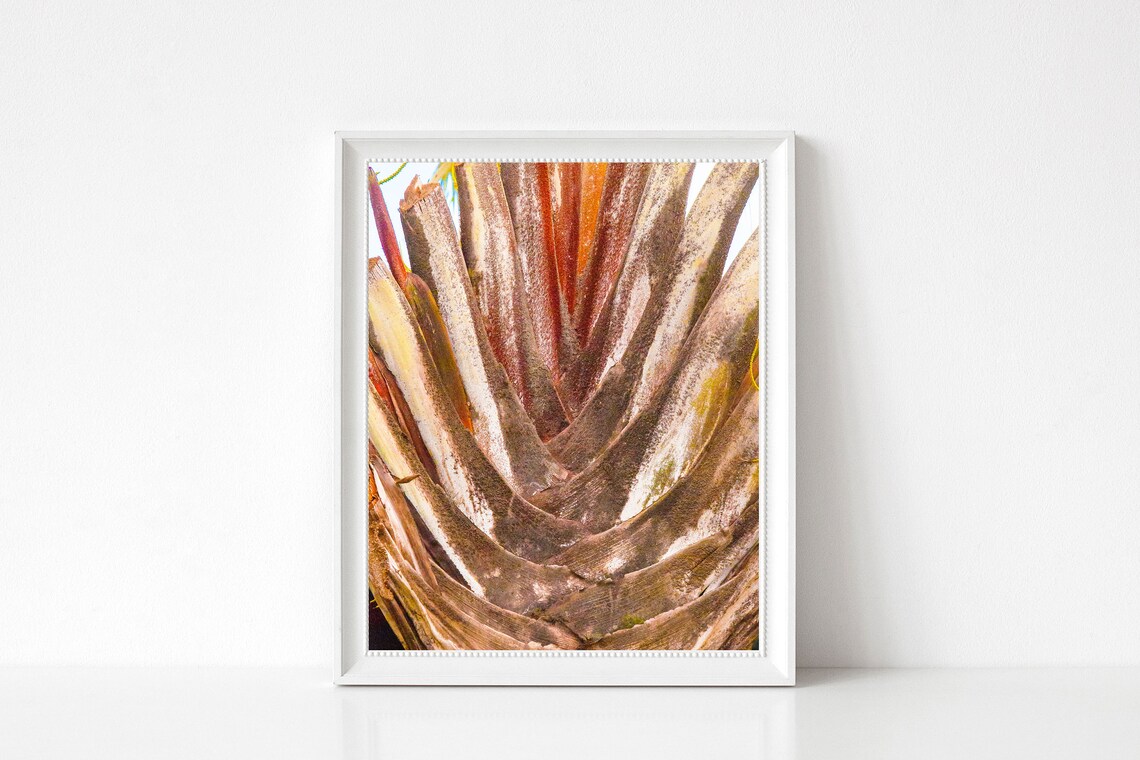 Close Up Textured Palm Tree Trunk Natural Detail Photo Poster - Image 3