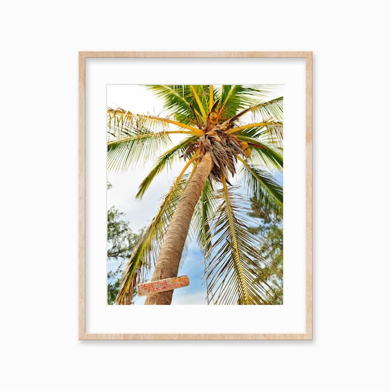 Palm Tree Beach Coastal Tropical Wall Art Decor Large Palm Tree Poster Beach Photography Botanical Art