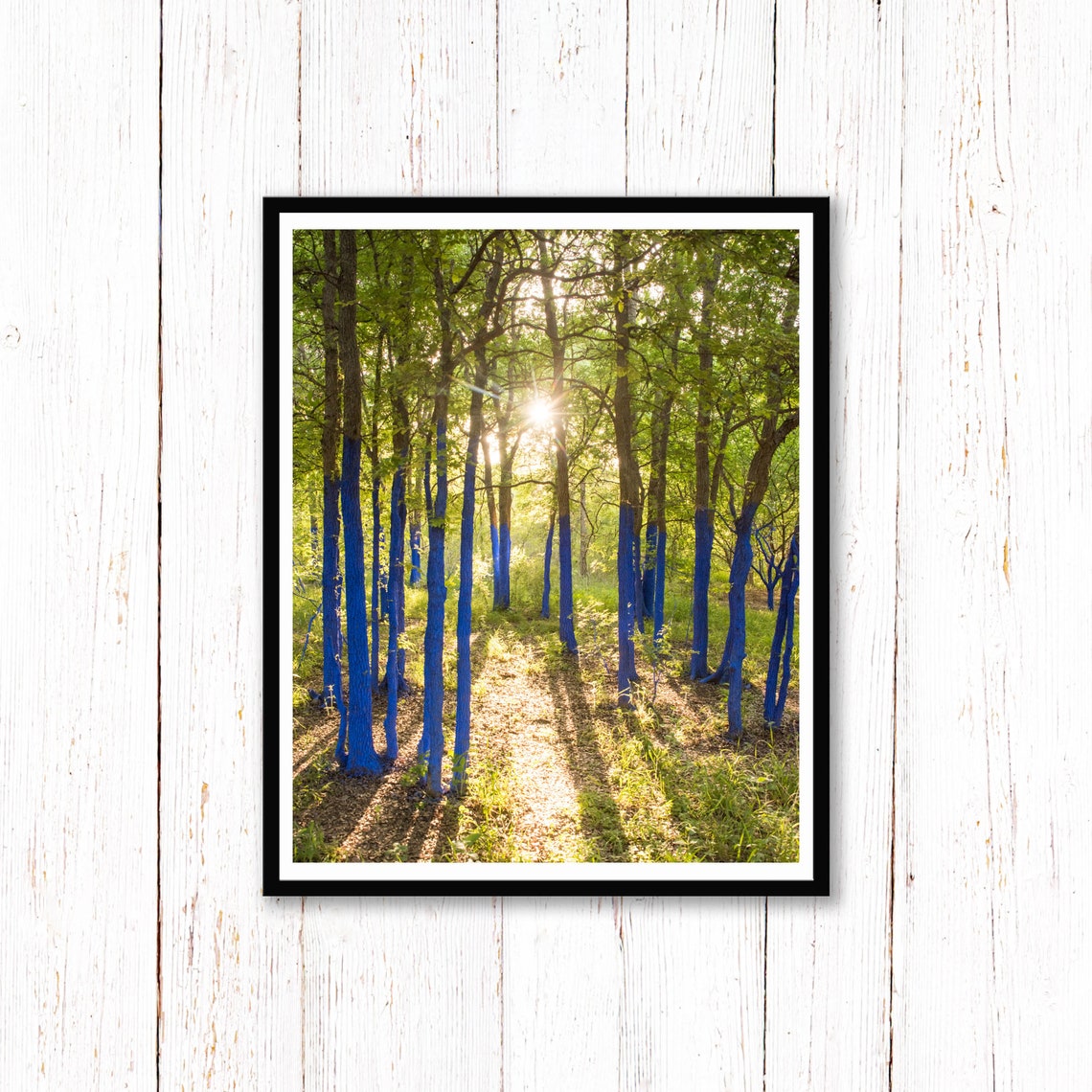 Sunlit Forest with Blue Painted Tree Trunks Art Photo Poster - Image 2