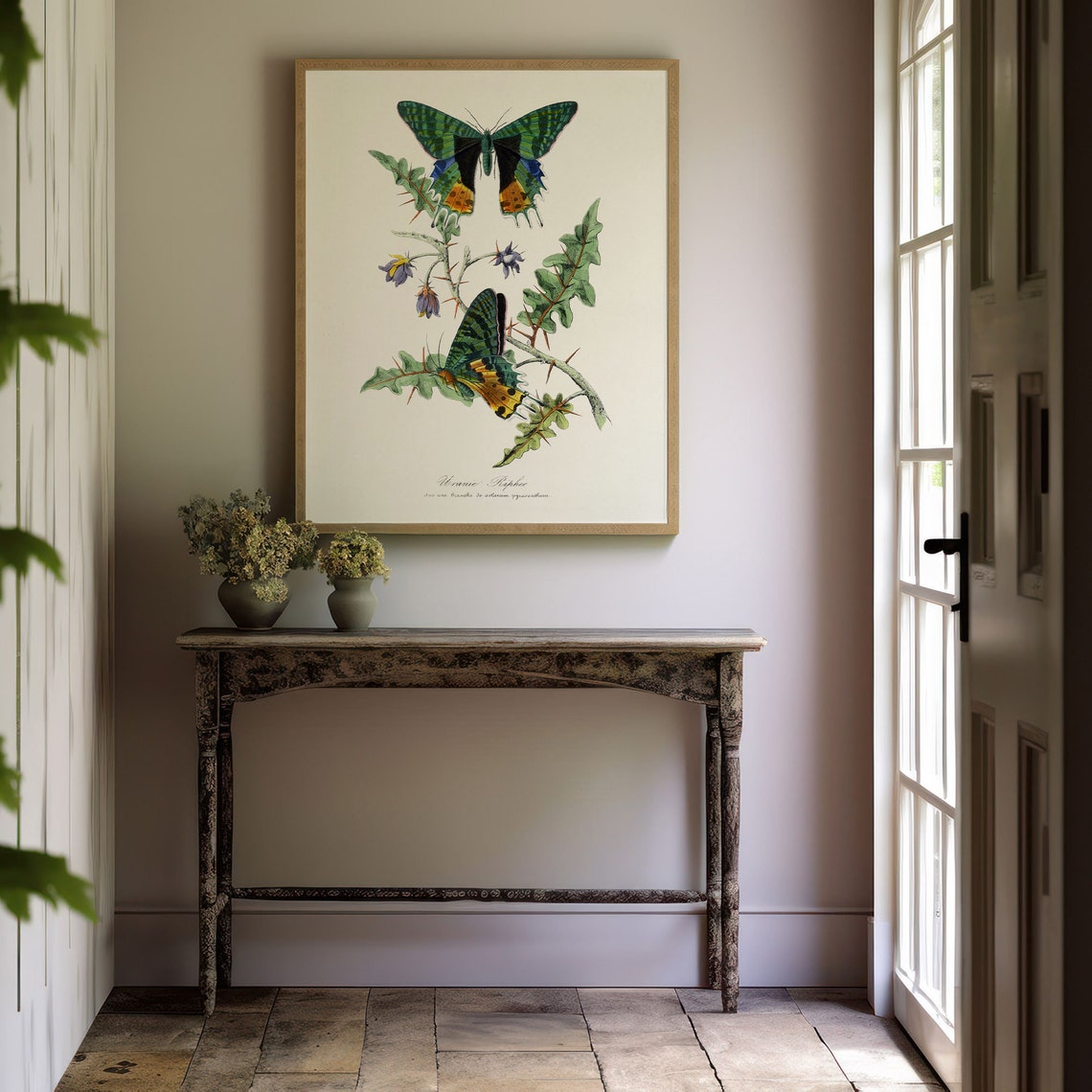 Vintage Butterfly Botanical Illustration Entomology Wall Poster - Image 8