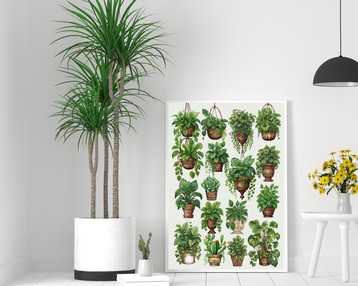 House Plants Boho Botanical Plant Illustration Art Print - Image 2