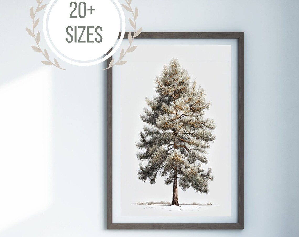 Old Pine Tree In Snow Illustrated Evergreen Winter Woodland Art Print
