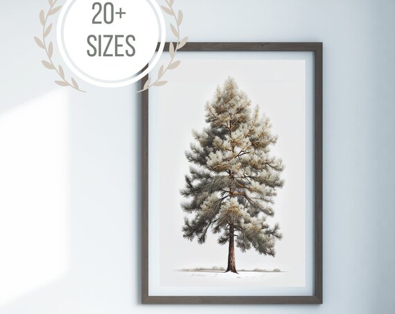 Old Pine Tree In Snow Illustrated Evergreen Winter Woodland Art Print