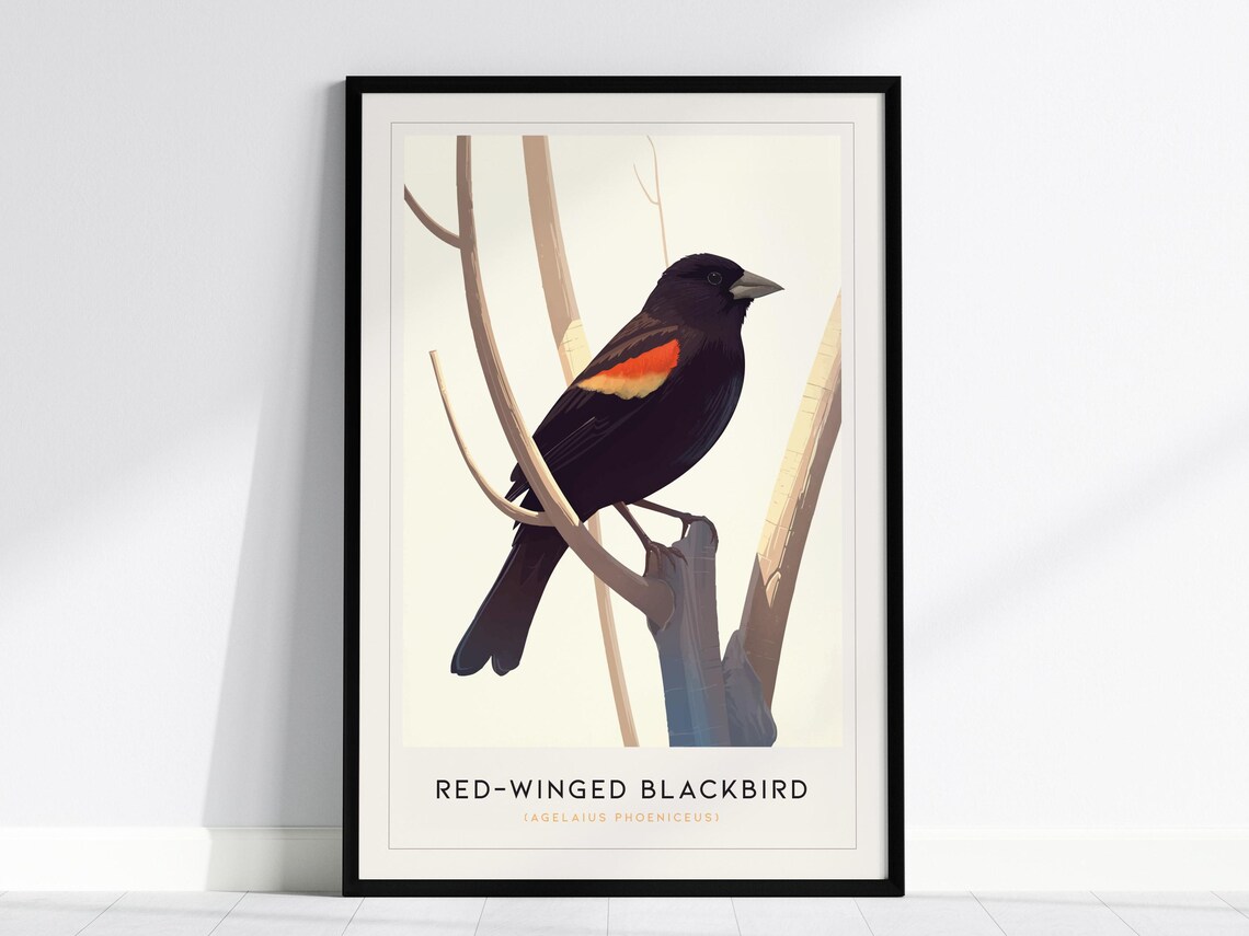Redwinged Blackbird Modern Bird Art Print