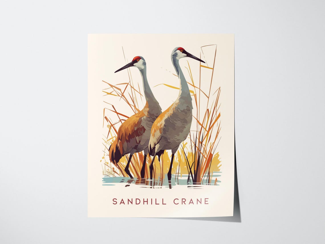 Sandhill Crane Pair Wetland Wildlife Vintage Bird Illustration Print