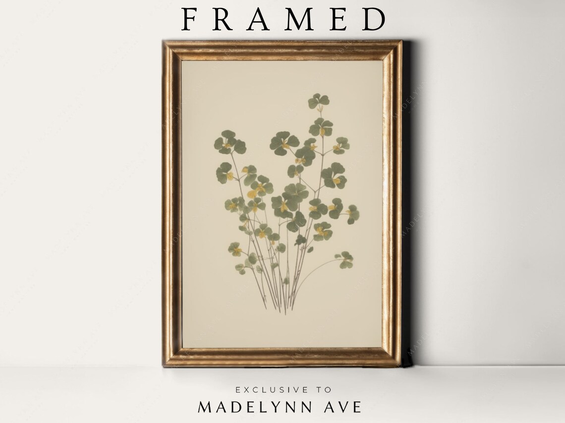 Wild Fern Botanical Study Pressed Leaves On Cream Paper Poster