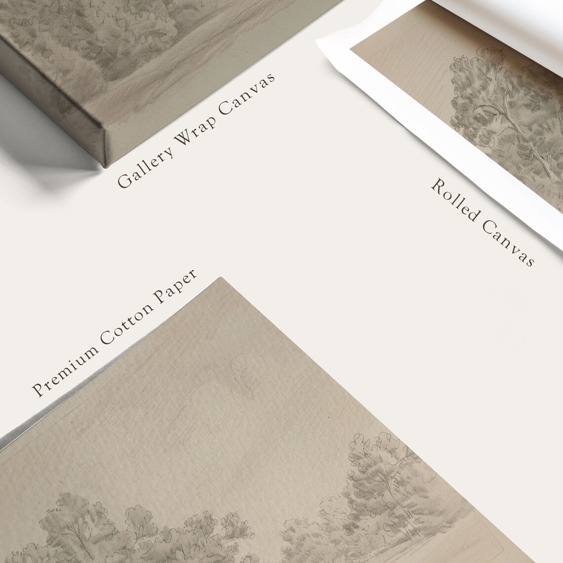 Grove Of Trees Neutral Vintage Landscape Sketch Art Print - Image 6