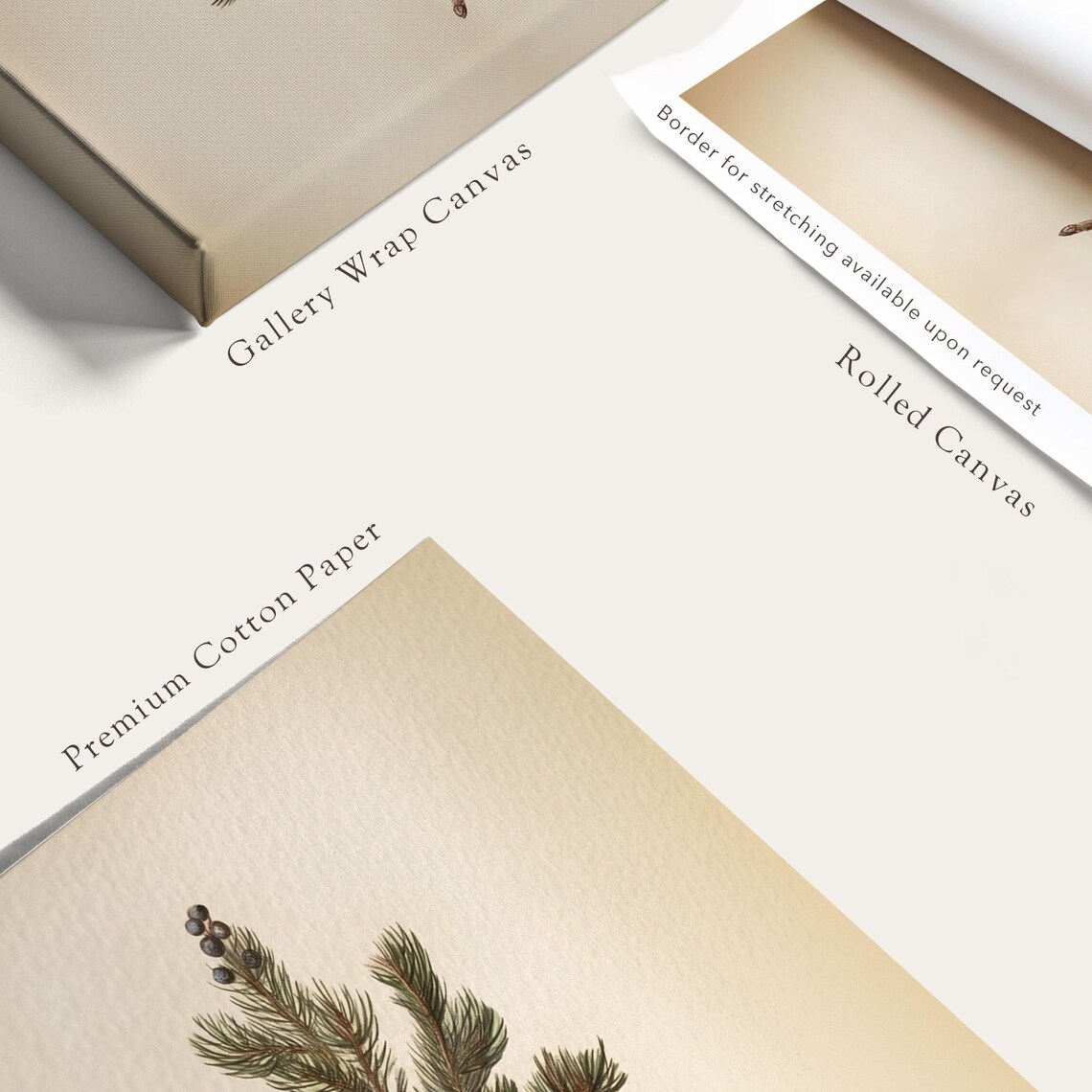 Pine Bough Christmas Botanical Winter Art Print - Image 5