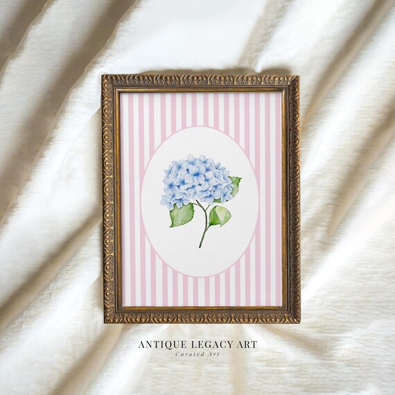 Blue Hydrangea Oval Watercolor Pink Stripe Vintage Botanical Poster