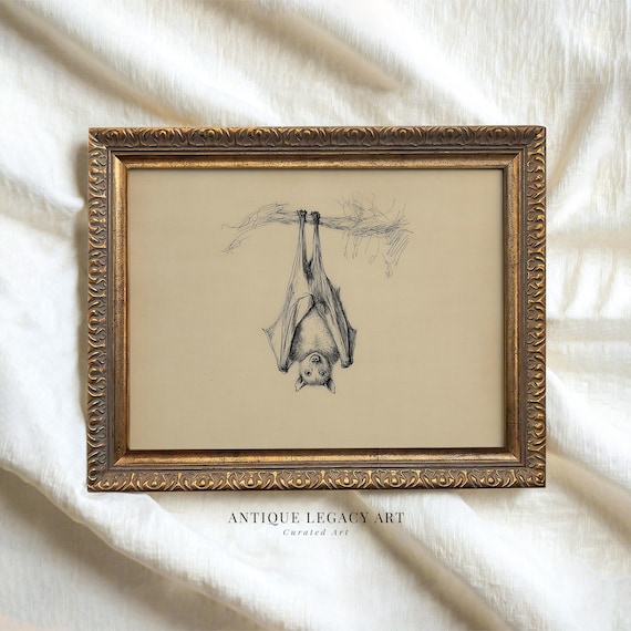Vintage Halloween Bat Drawing Print Gothic Ink Sketch Wall Art Spooky Creepy Dark Academia Decor