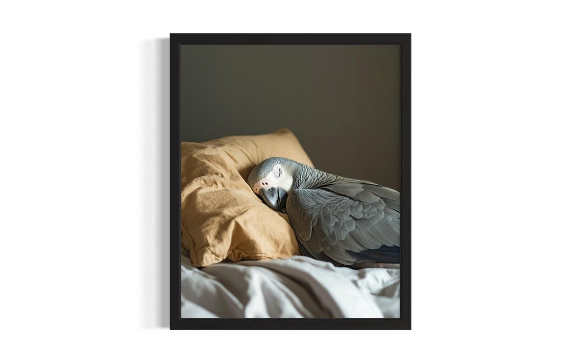 African Grey Parrot Sleeping on a Golden Tan Pillow Bird Poster