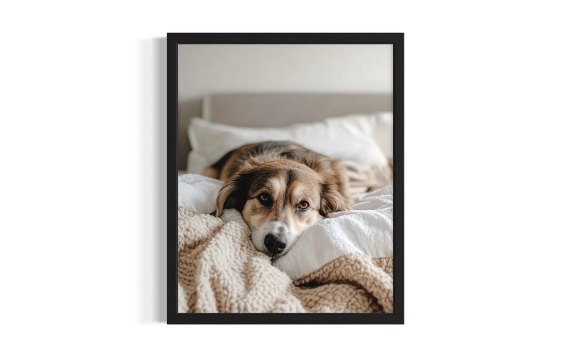 Dog Resting Its Head on a Bed With Soulful Eyes in a Cozy Poster