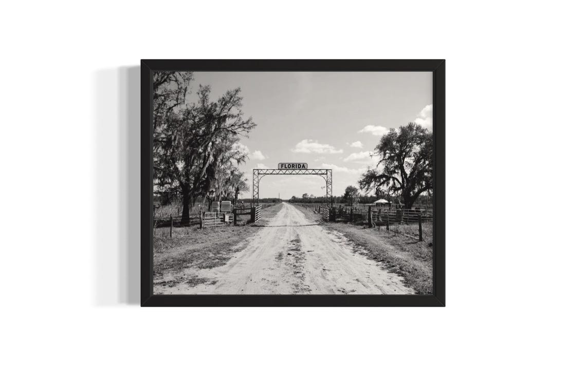 Florida Ranch Gate with Live Oaks Dirt Road Black and White Wall Art