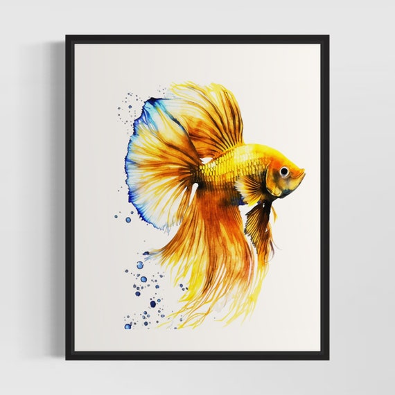 Yellow Betta Fish Watercolor Art Print Yellow Betta Fish Wall Art Poster Original Artwork By Artist