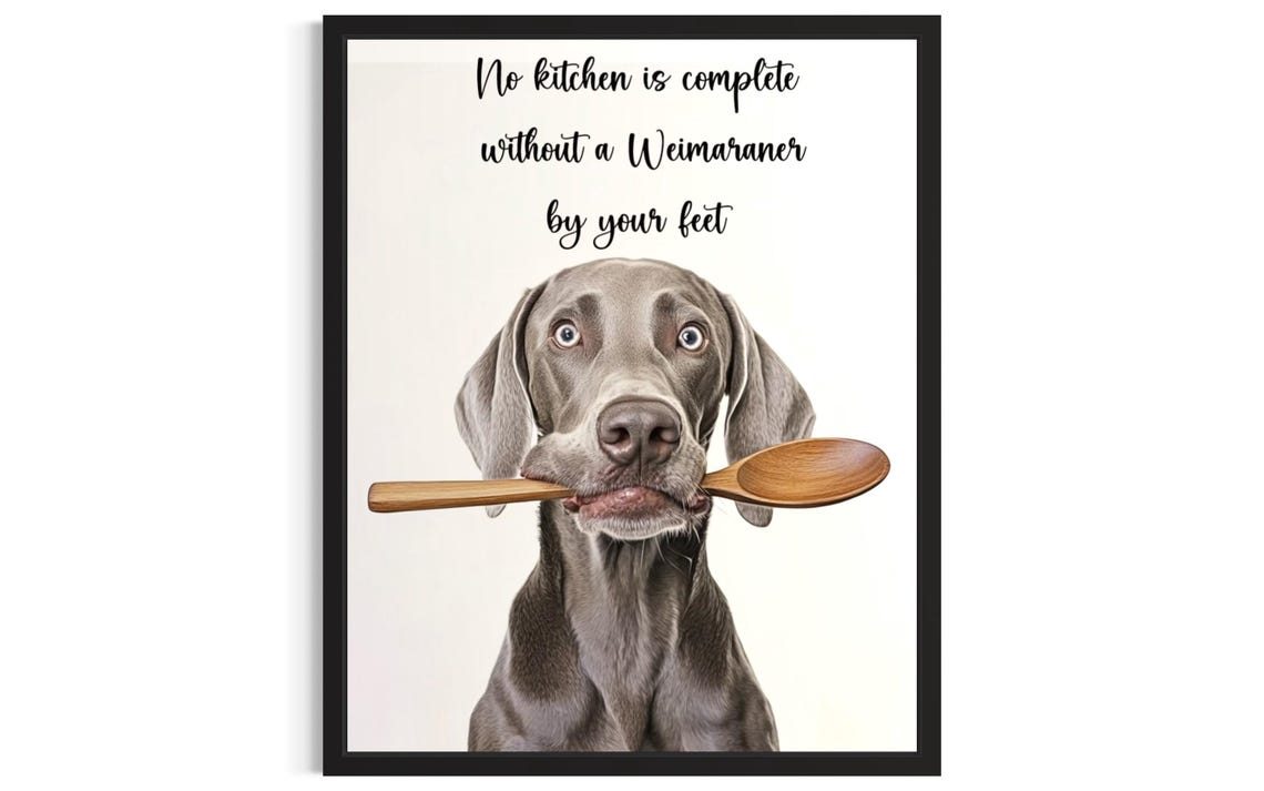 Weimaraner Dog Watercolor Kitchen Quote Holding Wooden Spoon Poster