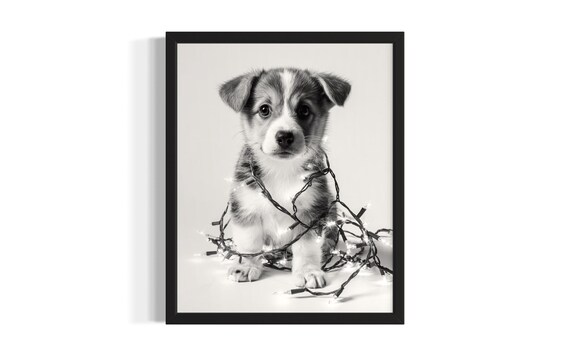 Sweet Corgi Puppy Tangled In Twinkling Christmas Lights Poster