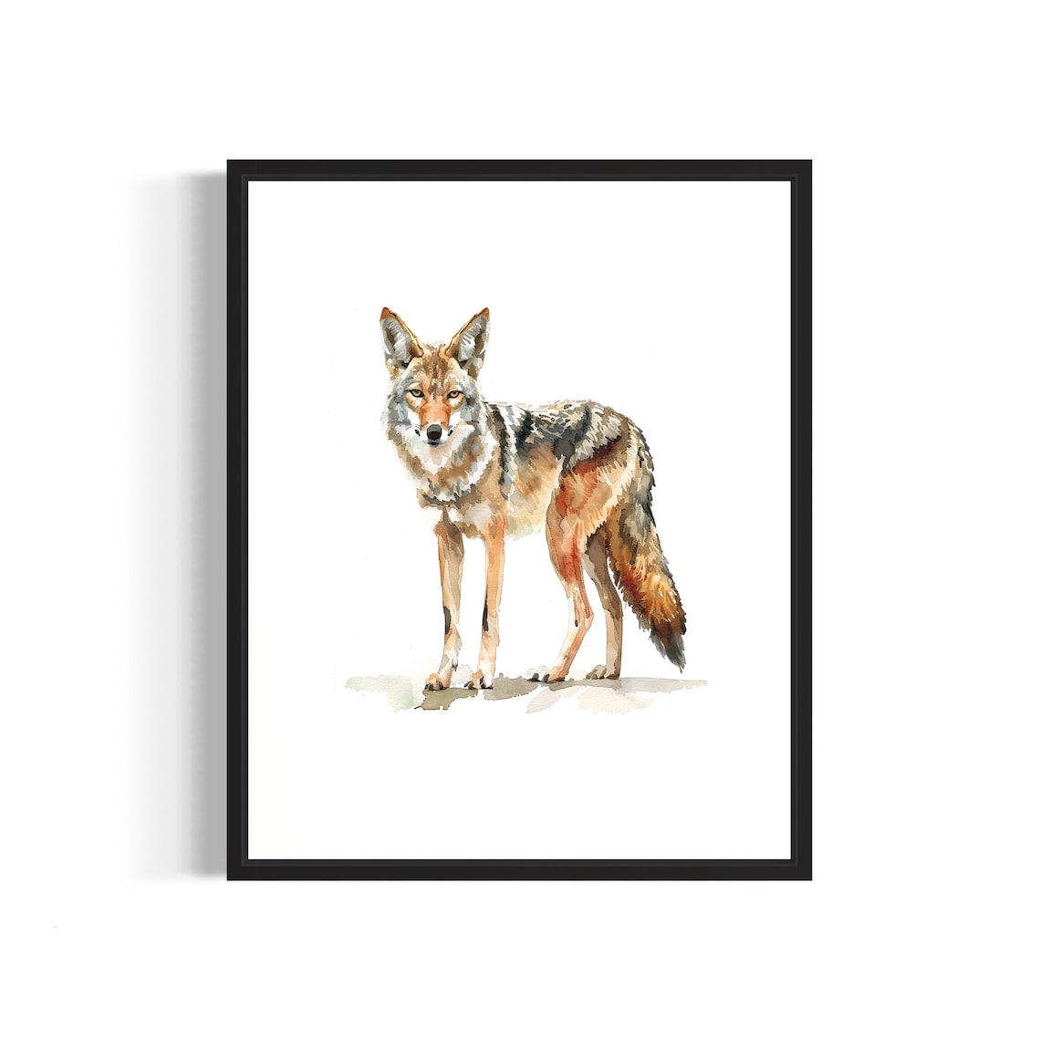 Watchful Coyote Bathed in Warm Golden Light Watercolor Wildlife Poster