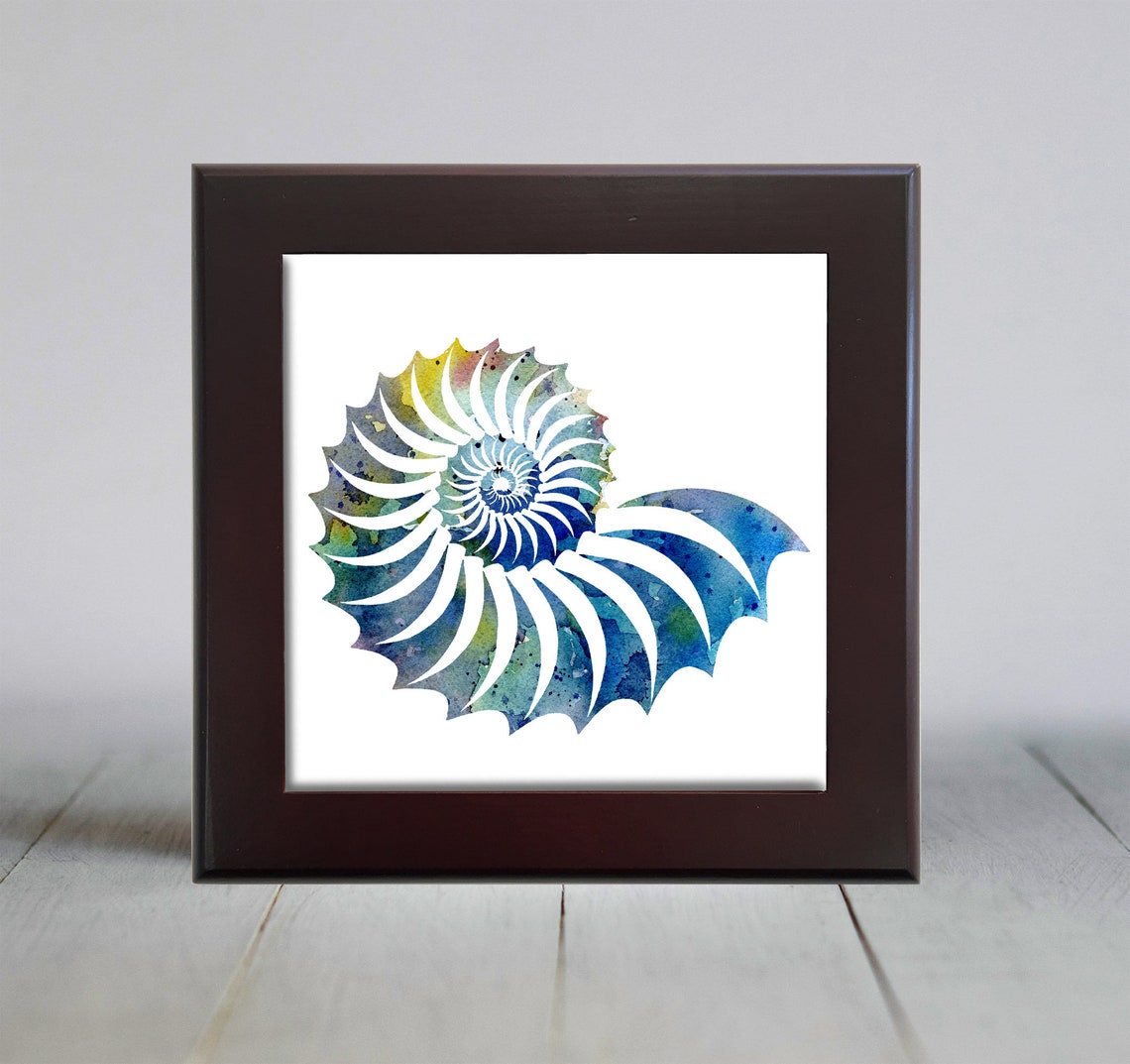Blue Spiral Watercolor Nautilus Seashell Ocean Decor Wall Art - Image 2
