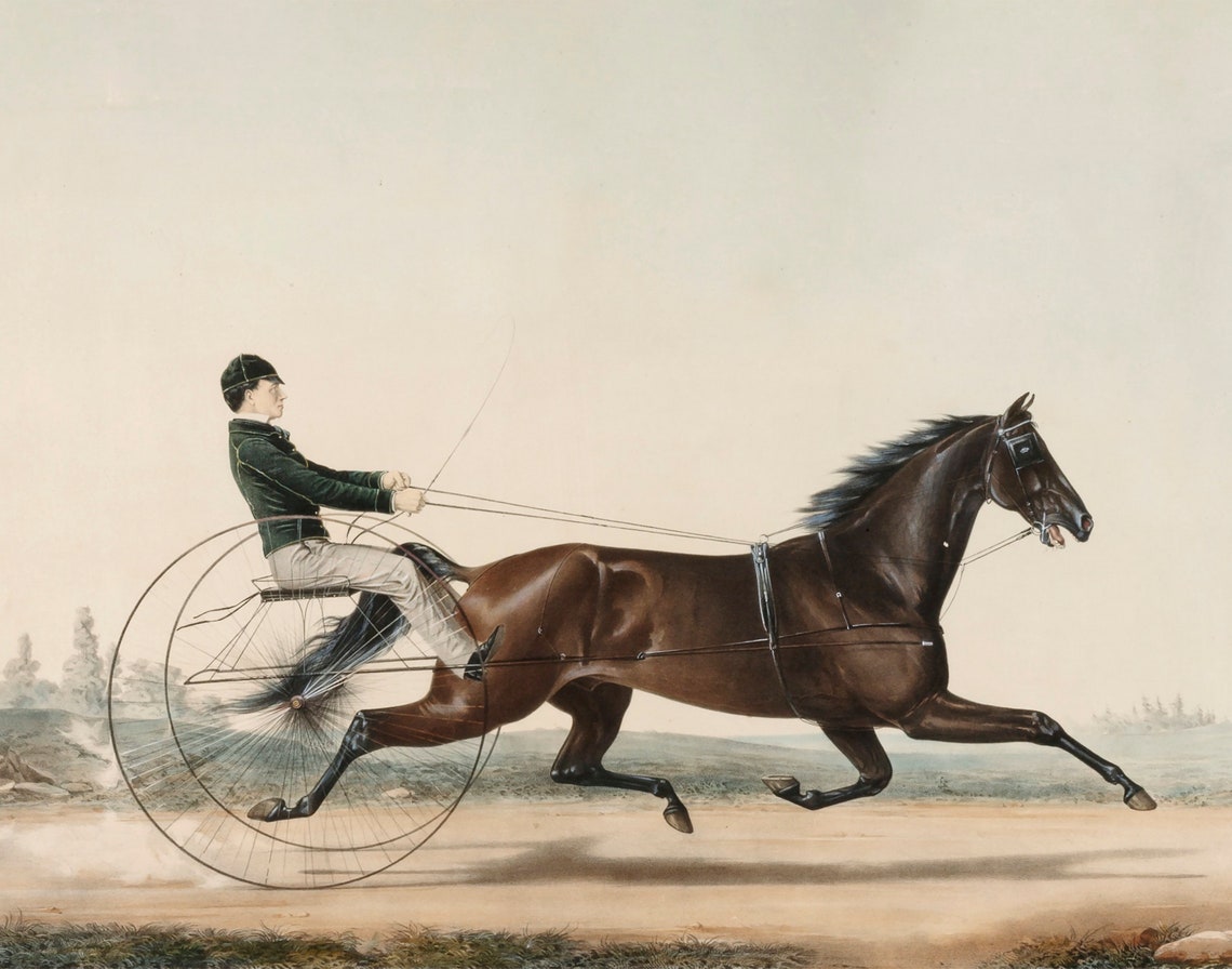 Antique Horse Lithograph, Vintage Equestrian Art Print - Image 3