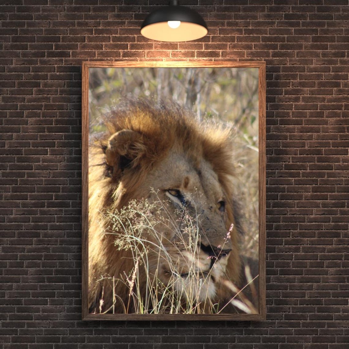 Lion Art, Africa's Game Reserves - Image 2