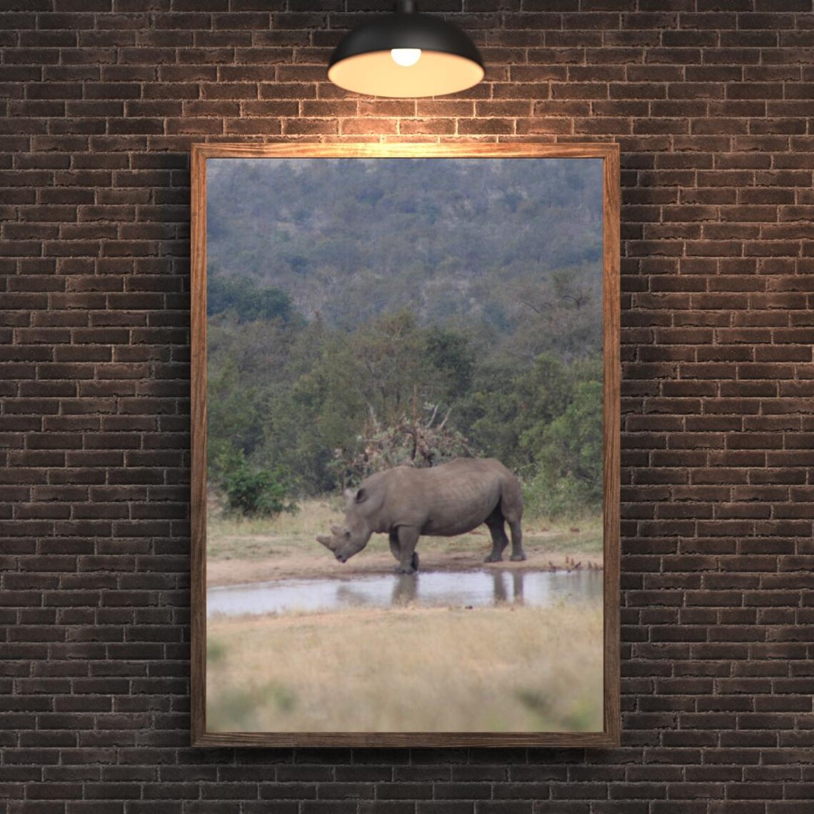 Rhino Drinking at an African Waterhole Safari Wildlife Photo Poster - Image 2