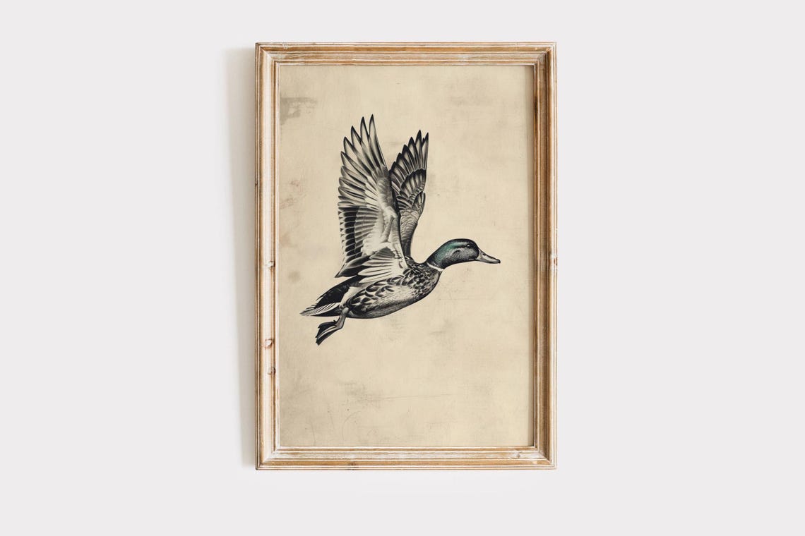 Mallard Duck Flying Vintage Pencil Sketch Rustic Wildlife Poster - Image 2